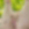 Izabella/[EroticDesire] Izabella - Reading