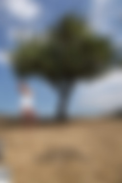 photodromm.com - 2013-01/_covers/janine - under the tree.jpg