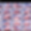 mollyflwers_2023_01_26/Screens