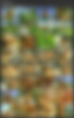 TTpack/Screens/Tiffany Towers - 24.avi.jpg