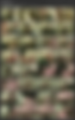TTpack/Screens/Tiffany Towers - 23.avi.jpg