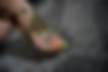 TigerrJuggs.com/Galleries/Big Foot/pic140118_037.jpg