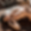 [photodromm.com] 2018-11/[photodromm.com] - 2018.11.30 - Supersize Selection Of Month (x14) 2666x4000