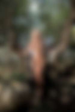 [photodromm.com] 2015-04/[photodromm.com] - 2015.04.16 - Grace - High Society II (x42) 1333x2000/41l.jpg