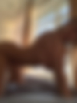 OnlySimps/josephinexxx/Images/4D2B52AA-07D7-49C6-898B-8626E1CBF3E6.jpeg
