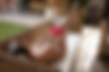 [PHD] 2024-06/2024-06-04 Kaylin - Sundown in The Garden/15l.jpg