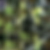 [RubberEva.com] Partial Siterip [2007-2015][Upscaled] [Fetish Syndicate]/2014/Thumbnails
