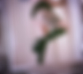 [OnlyFans.com] MissScarlett25 - Siterip/Images/1434x1279_4905422aa8556208ccc1e8f1cd4cecc7.jpg