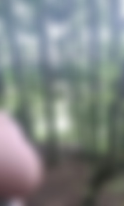 [OnlyFans.com] MissScarlett25 - Siterip/Images/1444x2389_a00ed9d6645af70a1d62190049a82b4d.jpg