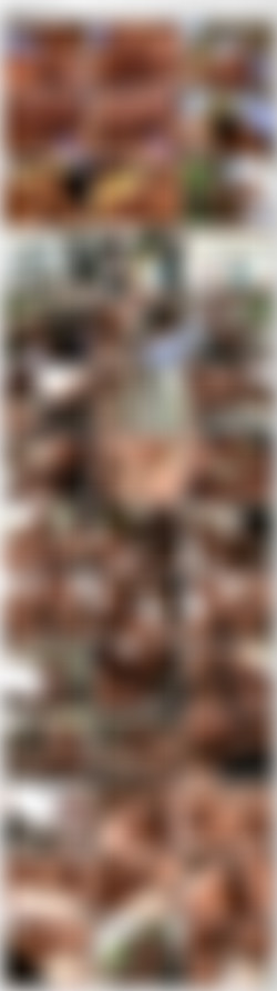 Mamacitas - Trilogy Collection [3xDVD9]/_screens/M2_VTS_01_5.VOB.mpg_thumbs.jpg