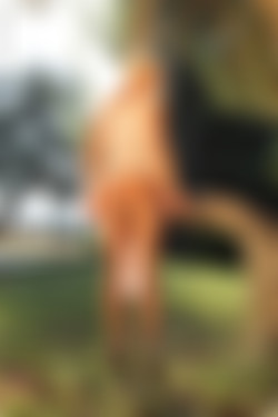 [photodromm.com] 2015-08/[photodromm.com] - 2015.08.20 - Grace - The Country Estate (x54) 2000x3000/08l.jpg