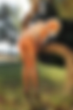 [photodromm.com] 2015-08/[photodromm.com] - 2015.08.20 - Grace - The Country Estate (x54) 2000x3000/09l.jpg