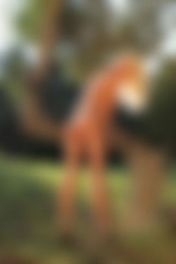 [photodromm.com] 2015-08/[photodromm.com] - 2015.08.20 - Grace - The Country Estate (x54) 2000x3000/23l.jpg