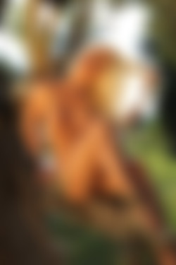 [photodromm.com] 2015-08/[photodromm.com] - 2015.08.20 - Grace - The Country Estate (x54) 2000x3000/35l.jpg