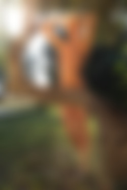 [photodromm.com] 2015-08/[photodromm.com] - 2015.08.20 - Grace - The Country Estate (x54) 2000x3000/39l.jpg