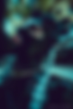 catsyts/Pictures/1066x1600_a9639a7e0e0dbce60e188e0fd4ad6ae9.jpg