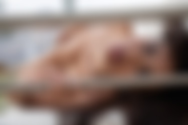 [PHD] 2024-04/2024-04-16 Lupe - The Yard/30.jpg