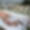 [PHD] 2024-04/2024-04-16 Lupe - The Yard