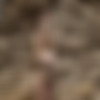 [PH] 2023-06/02 Mila Anne - The Morning Wind