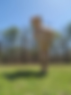 [OnlyFans.com] Conspiratitty - SiteRip/Photos/0b3f6ee3-78f3-4dfd-81e3-7fe17e136a00.jpg