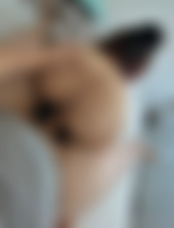 [OnlyFans.com] Anouk_DDlgxo - Site Rip/Images/Anouk-DDlgxo - 162.jpg