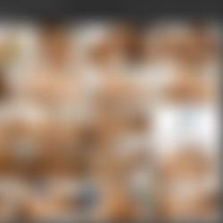 Vanna Bardot h265 p2