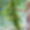 2020.12.03_WowGirls.com_Nancy-A_Blessed