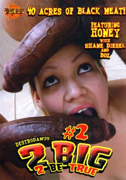2 Big 2 Be True 1-16/_Covers/2 Big 2 Be True 2.jpg