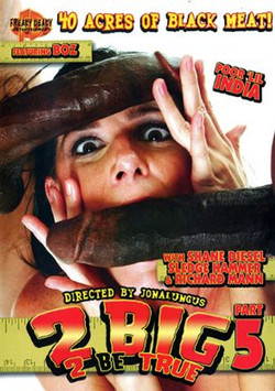 2 Big 2 Be True 1-16/_Covers/2 Big 2 Be True 5.jpg