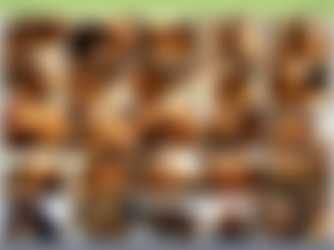 Booty Talk #20/screens/VTS_03_4.VOB.png