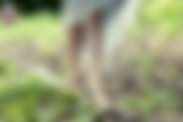 August 2012/Ajilee/BabyGirl/09.jpg