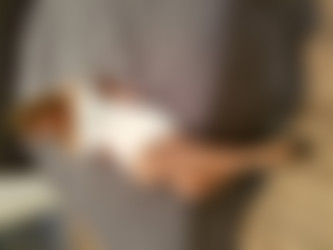 [EscortCasting.com] Full SiteRip (FEB 2018)/11_ANI BLACKFOX/escort-ani-blackfox-04.jpg