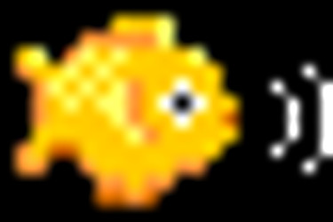 www.archw.com_movies_ARCHW-025/index_files/fish-right.gif