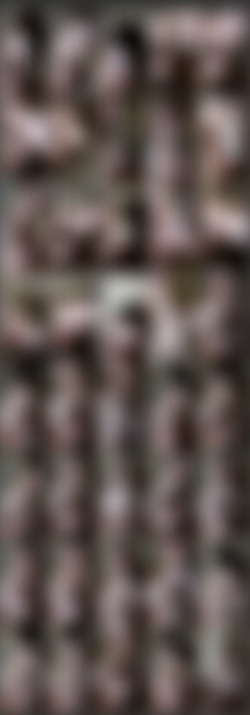 [OnlyFans.com] DarcyJames - SiteRip/Video Screens/1301732543.mp4.jpg