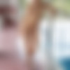 [photodromm.com] 2017-05/[photodromm.com] - 2017.05.12 - Margot - Hot Wellness (x46) 2000x3000