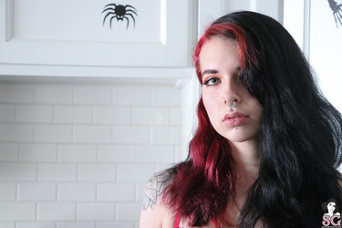 Lacedlily/2021-10-26 Latrodectus/02.jpg