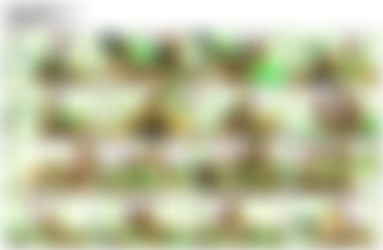 DD/Screenlists/Update 17.12.2018/Dani Daniels - Fake Patients.mp4.jpg