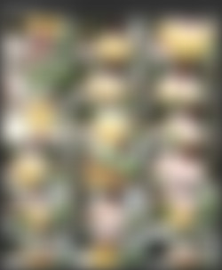 LeanneCrow.com part 2/!scr/Glorious Flower Child (2019.02.22).mp4.jpg