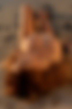 [photodromm.com] 2018-11/[photodromm.com] - 2018.11.12 - Cruzlyn - Warm Sensations II (x42) 2000x3000/27l.jpg
