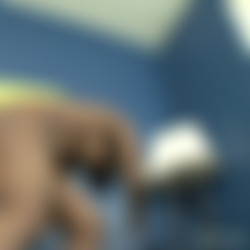 BlackIcePass • SiteRip • Part 2 • 58 Vids