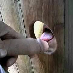 gloryholegirlz