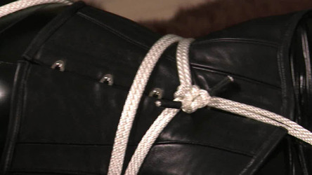 BondageCafe Videos/wmbcv-0917hd.wmv