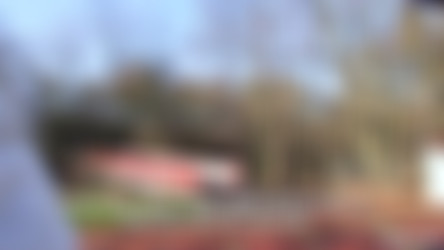 pup_cristal_caitlin_yp012616_1080p_12000.mp4