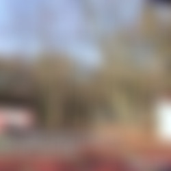 pup_cristal_caitlin_yp012616_1080p_12000.mp4