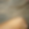 Anal