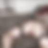 NuniCult thumbnail