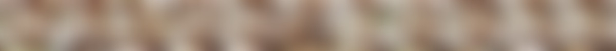[Blacked.com] Haley Reed – Beautiful Blonde Girl and BBC [1080p_HEVC] screencaps